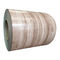 Bobina de acero galvanizada prepintada color de acero de la bobina 0.5m m 0.8m m de HDGL HDGI PPGI